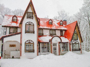 Отель Panketo Lodge, Хакуба